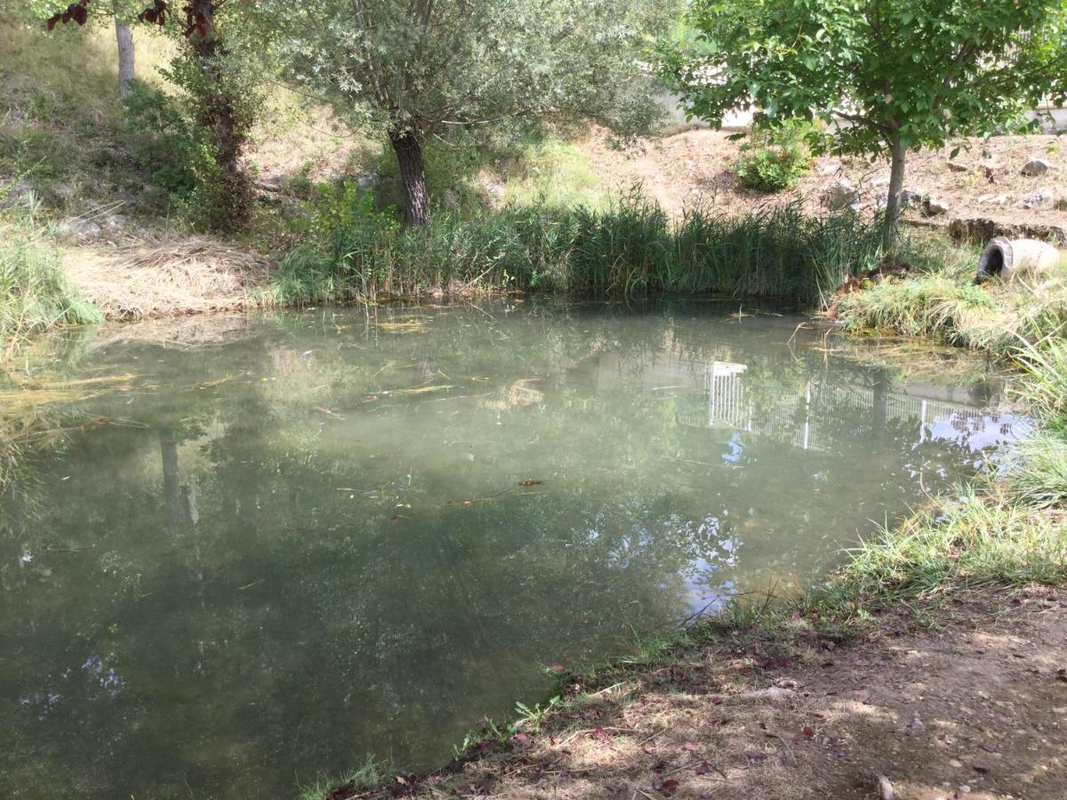 Mazet Tournesol Aux Portes Du Verdon Saint-Martin-de-Brômes المظهر الخارجي الصورة